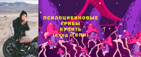 ПСИЛОЦИБИНОВЫЕ ГРИБЫ Бугульма